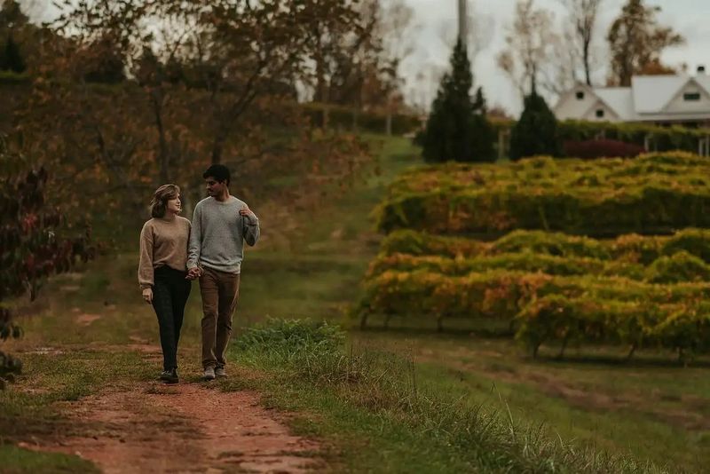 Best dating sites & applications 2024 for each gender and sexuality Best dating sites & applications 2024 for each gender and sexuality